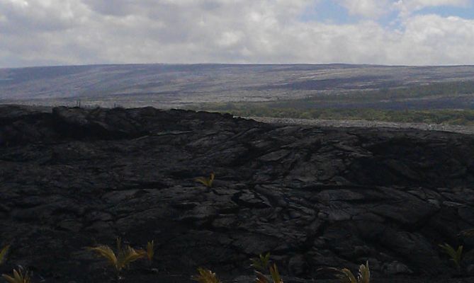 New Kaimu Black Sand Beach

