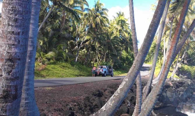 Puna Coast Milepost 15 
