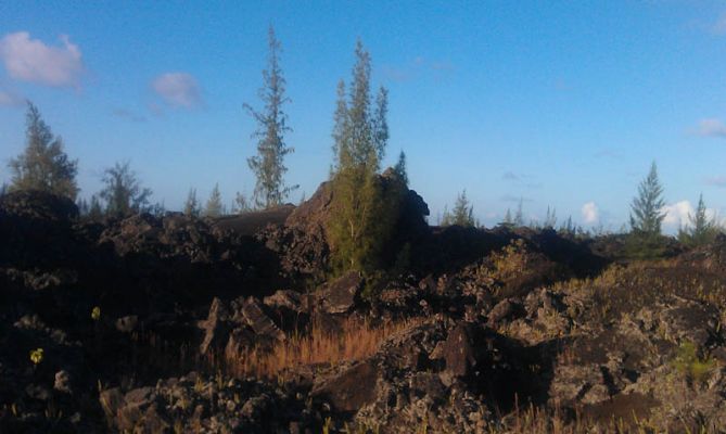 Puna Coast
