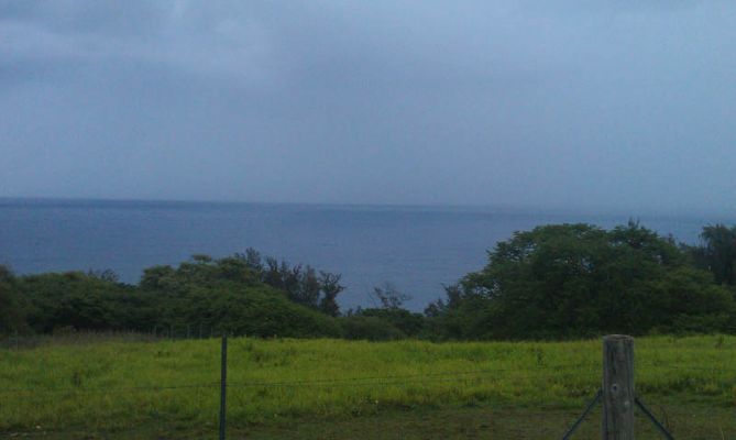 Onomea Scenic Drive
