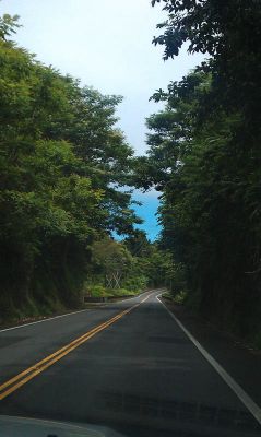 IMG_20120726_103701.jpg