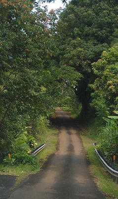 Old Mamalahoa Road 
