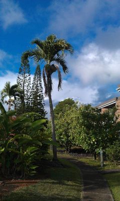 Puamana Princeville Vacation Rental
