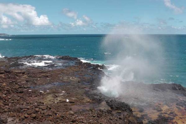 Spouting Horn
