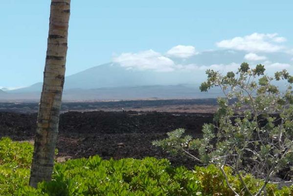 Waikoloa Beach Villas
