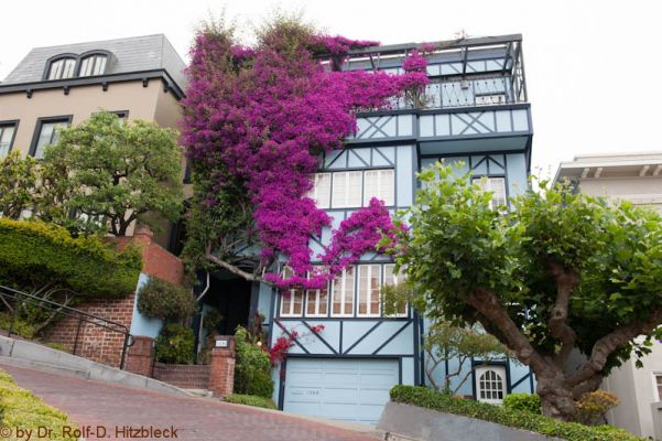 Lombard Street
