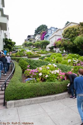 Lombard Street
