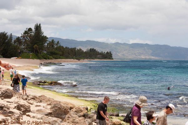 Laniakea Beach
