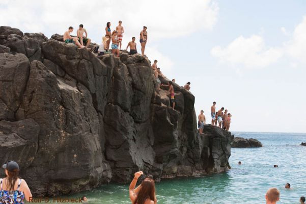 Waimea Bay Beach Park
