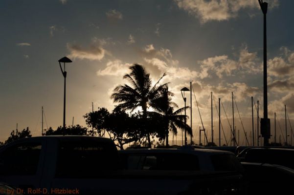 Waikiki Beach
