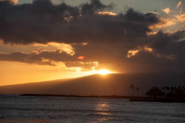 Waikiki Beach
