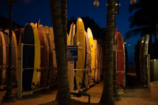 Waikiki Beach
