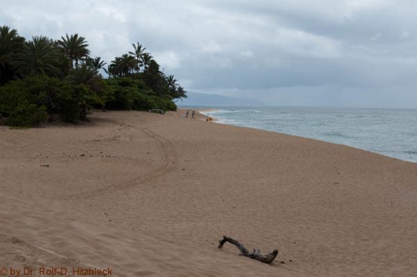 Sunset Beach
