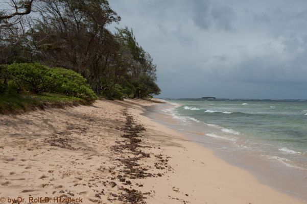 Malaehahana State Recreation Area
