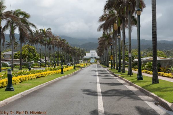 Mormon Temple
