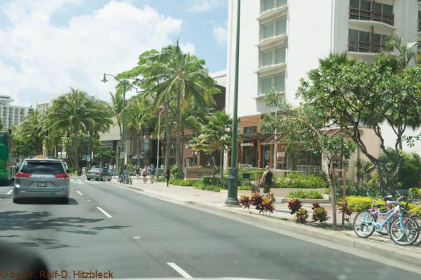 Kalakau Ave
