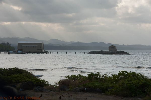 Makai Research Pier
