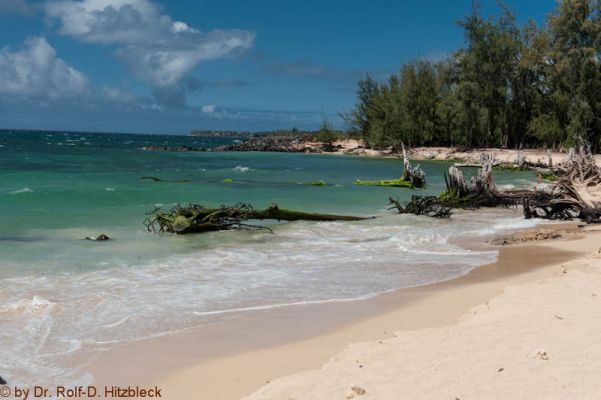 Beach Access in Kuau 
