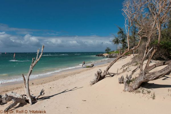 Baldwin Beach Park
