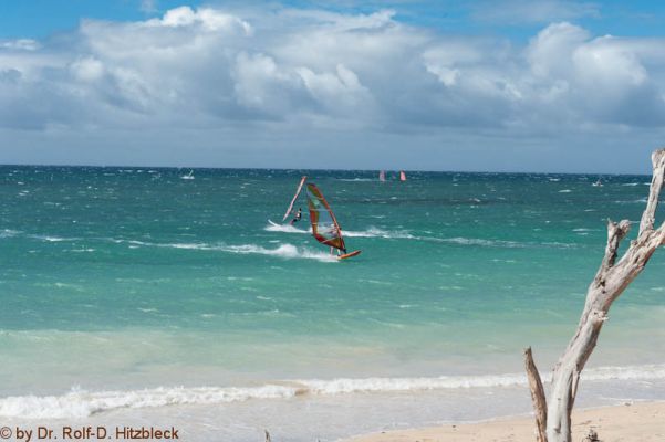 Baldwin Beach Park 
