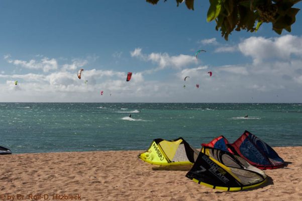 Kanaha Beach Park 
