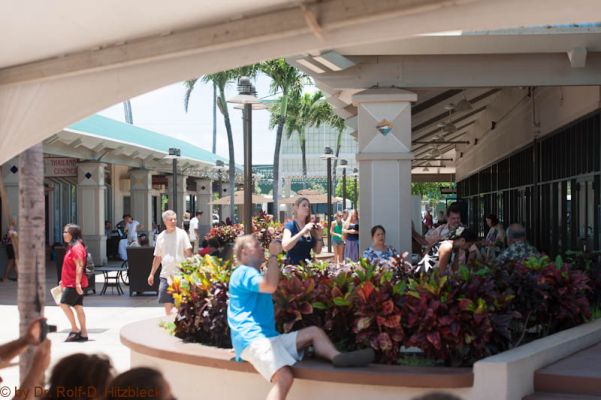 Maui Mall

