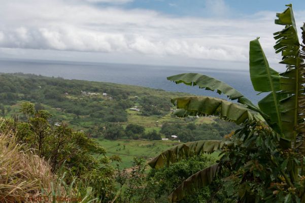Ke’anae Peninsula 

