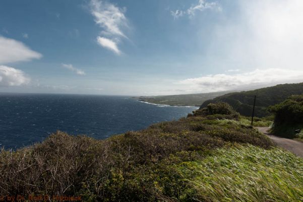 Pi'ilani Highway
