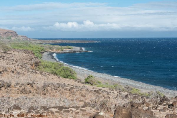 Pi'ilani Highway

