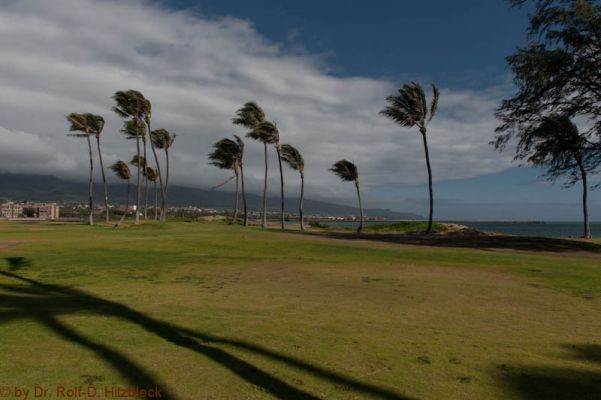 Kanaha Beach in Kahului
