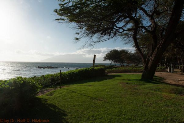Kamaole III Beach
