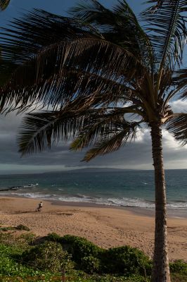 Kamaole III Beach
