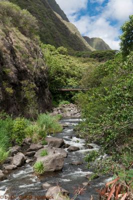 Iao Valley
