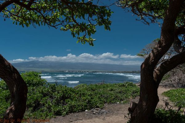 Waiehu Beach Park
