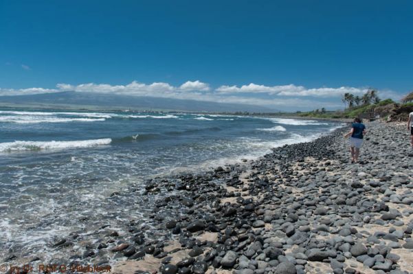 Waiehu Beach Park
