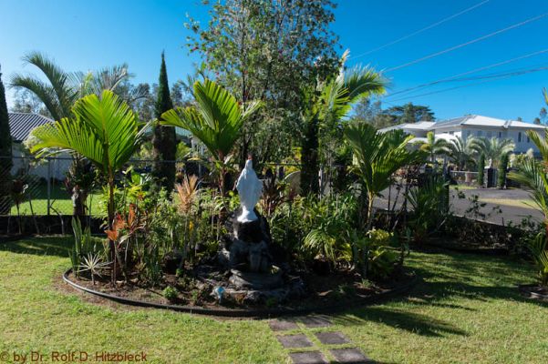 Pahoa Vacation Rental

