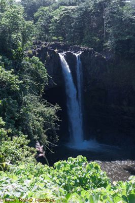 Rainbow Falls, Hilo
