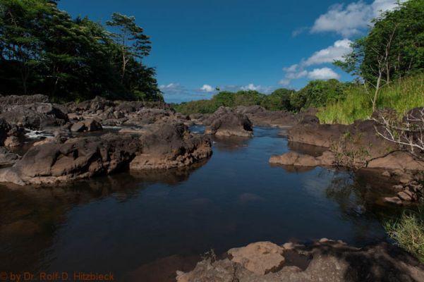 oberhalb der Rainbowfalls, Hilo
