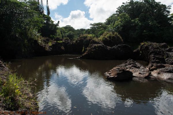oberhalb der Rainbowfalls, Hilo
