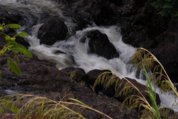 Boiling Pots Hilo
