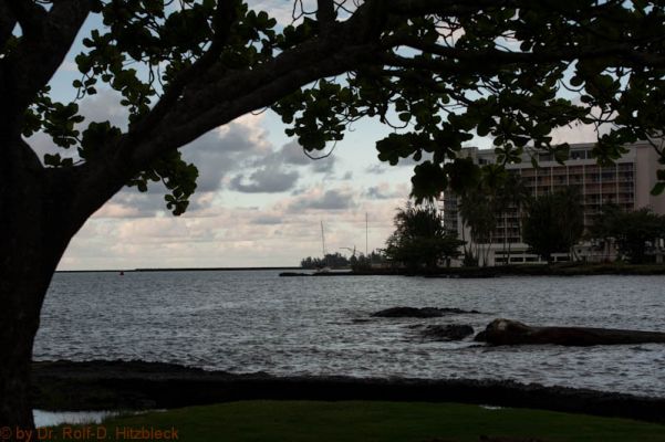 Coconut Island, Hilo
