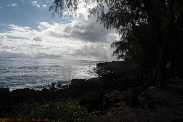 Hawaiian Paradise Park, Puna Coast
