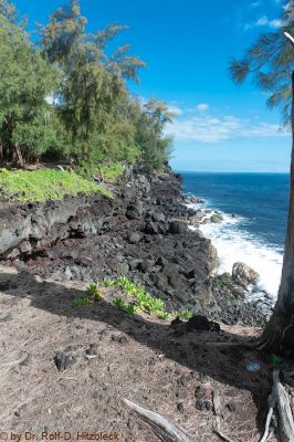 Hawaiian Paradise Park, Puna Coast
