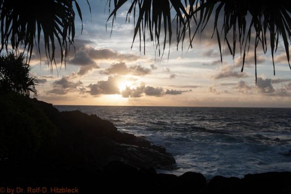 Hawaiian Paradise Park, Puna Coast
