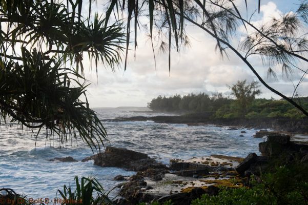 Hawaiian Paradise Park, Puna Coast
