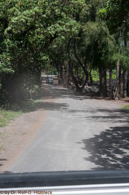 Puna Coast
