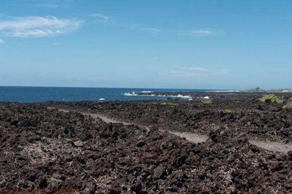 Puna Coast
