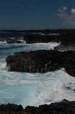 Puna Coast
