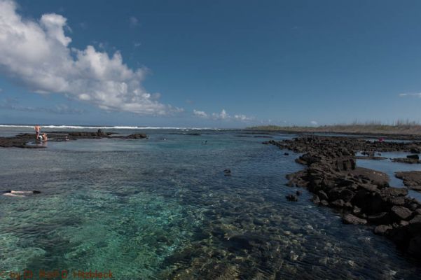 Kapoho Tide Pools
