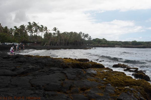 Punalu'u Black Sand Beach
